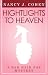 Highlights to Heaven (Bad Hair Day Mystery 5)