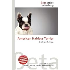 American Hairless Terrier