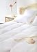 Comforter Sets Part of your Bedroom 41kH2AuEBLL. SL75 Comforter Sets Part of your Bedroom