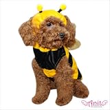Bumble Bee Dog Costume Size: Large