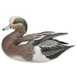 Weaver Bottoms American Widgeon Duck Decoy