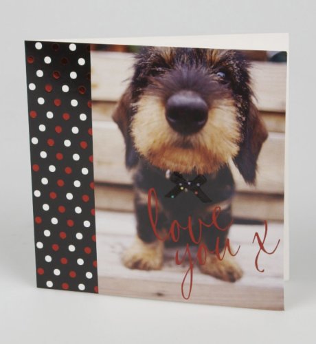 Dog Photograph Valentine's Day Card