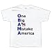 One Big Ass Mistake America T-Shirt