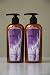 Personal Health Care : WEN Lavender Body Care Set