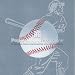 Baseball Magnet Card