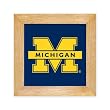 University of Michigan Trivet - Wall Hanging
