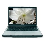 Toshiba Satellite L355D-S7809 17" Laptop (AMD Turion 64 X 2 Dual Core TL-60 Processor, 2 GB RAM, 200 GB Hard Drive, DVD Drive, Vista Premium)