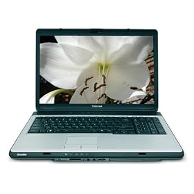 Toshiba Satellite L355D-S7809 17 Laptop (AMD Turion 64 X 2 Dual Core TL-60 Processor, 2 GB... by Toshiba