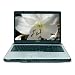 Toshiba Satellite L355D-S7809 17" Laptop (AMD Turion 64 X 2 Dual Core TL-60 Processor, 2 GB RAM, 200 GB Hard Drive, DVD Drive, Vista Premium)