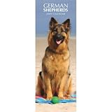 German Shepherds 2009 Slim Wall Calendar