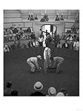 Beginning of a Cock Fight in Puerto Rico Photograph - San Juan, Puerto Rico Giclee Poster Print