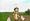 Harvest Moon: Tree of Tranquility