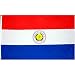 Paraguay Flag Polyester 3 ft. x 5 ft.