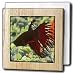 Rebecca Anne Grant Photography Fish - Betta Fish - Tile Napkin Holders