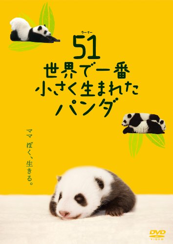 51 (ウーイー) 世界で一番小さく生まれたパンダ 