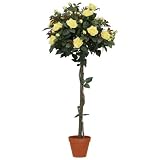 f-DECO ���[�Y�C�G���[ 120cm