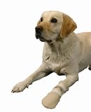2 Walker Neopren-Stiefel, Groesse S, beige