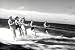 Water Sports & Outdoor Recreation Movie: Aqua Frolics DVD (1940s)