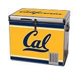 California Tailgate Cooler