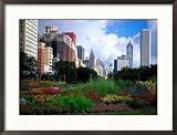 Flowered Park on S Michigan Ave, Chicago, IL Framed Photographic Poster Print by Mark Segal, 29x21