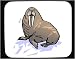 Mouse Pad with cold, walrus, wildlife, tusks, animal, winter