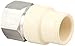 King Brothers Inc. TFS-0500 Female X Socket PXL CPVC X Stainless Steel Transition Adaptor, Tan, 1/2-Inch