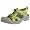 Light Green/Yellow
