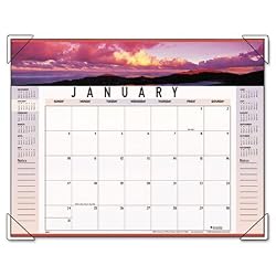 At-A-Glance 89802 Visual Organizer Landscape Monthly Desk Pad Calendar for 2009, 22 x 17