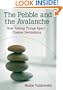 The Pebble and the Avalanche: How Taking Things Apart Creates Revolutions