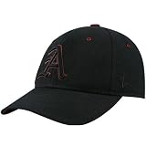 Zephyr Arkansas Razorbacks Black DH Metallic Logo Fitted Hat