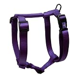 Hamilton Adjustable Comfort Nylon Dog Harness, Purple, 5/8 x 12 20 41kJehycZUL. SL160 Hamilton Adjustable Comfort Nylon Dog Harness, Purple, 5/8 x 12 20