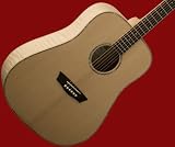 NEW PRO WASHBURN SOLID TOP ACOUSTIC GUITAR WD45S DREAD