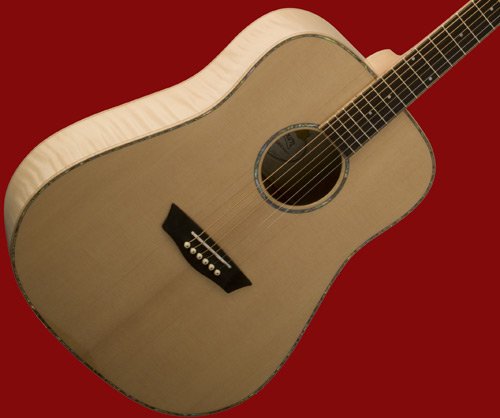NEW PRO WASHBURN SOLID WD45S DREAD