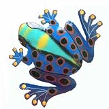 Frog Tropical Haitian Metal Art Home Room Yard Garden Decor