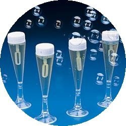 100 WEDDING CHAMPAGNE GLASS BUBBLES