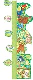 BB SET GROWTH CHART RAIN FOREST