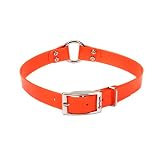 Remington Orange Waterproof Dog Collar