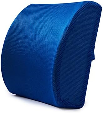 Memory Foam 3D Ventilative Mesh Lumbar Back Support Adjustable Cushion Pillow For Home Office Or Car Seat (Blue)