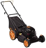 Poulan Pro PR625N21RHX 21-inch 625 Series Briggs & Stratton Gas Powered Side Discharge/Bag/Mulch Lawn Mower (CA Compliant)