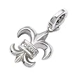 Fossil CHARMS - Ornament JF82558