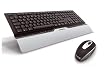 Cherry eVolution CONTROL Wireless MultiMedia Desktop Tastatur & 27Mhz - 5B kabellose optische Maus USB silber/schwarz