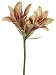 27 Vintage Romance Hybrid Lily Spray Mauve Green (Pack of 12)