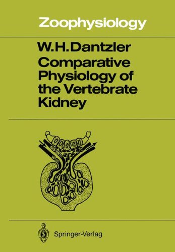 Comparative Physiology of the Vertebrate Kidney (Zoophysiology)