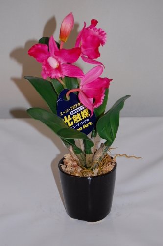 カトレヤ ピンク SSサイズ 1本 光触媒造花の国内生産品 24時間効果持続のダブルコーティング 
