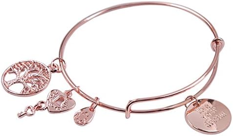 JIYIJewelry (TM) Rose Gold Plate Expandable Wire Live Your Dream Charm Bracelet Bangle