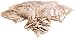 Porter-Cable 5552 20-by-52-Millimeter No. 10 Biscuits, 1,000-Pack