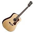 Guild Guitars D-40 Bluegrass Jubilee Guitar - Natural