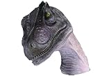 ＦＲＰ恐竜オブジェ　アロサウルスの頭部