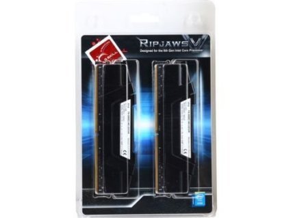 G.SKILL 32GB (2 x 16GB) Ripjaws V Series DDR4 PC4-24000 3000MHz Desktop Memory Model F4-3000C14D-32GVK