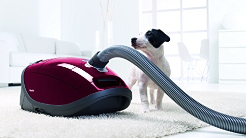 Buying guide of  Miele Complete C3 Cat & Dog PowerLine